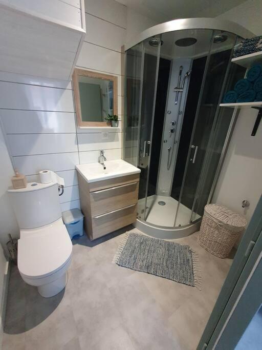 Roanne Centre, Appartement Refait A Neuf. Zewnętrze zdjęcie
