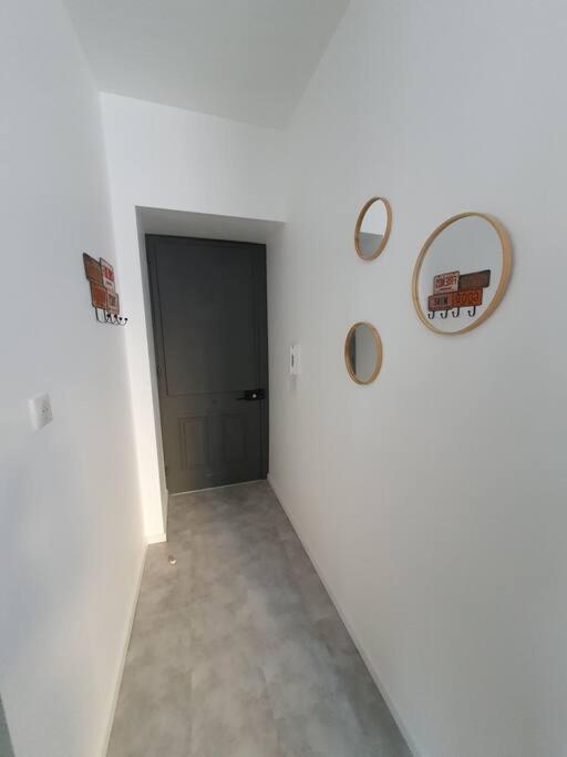 Roanne Centre, Appartement Refait A Neuf. Zewnętrze zdjęcie
