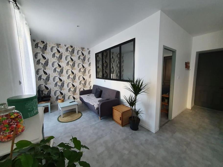 Roanne Centre, Appartement Refait A Neuf. Zewnętrze zdjęcie